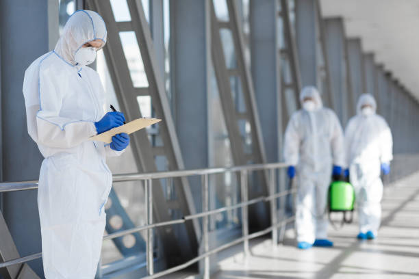 Best Mold-Related Health Consultation  in Alma, MI