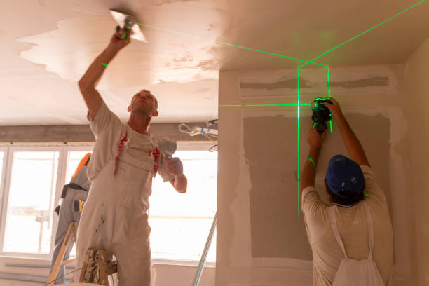 Best Asbestos and Lead Testing During Mold Inspection  in Alma, MI