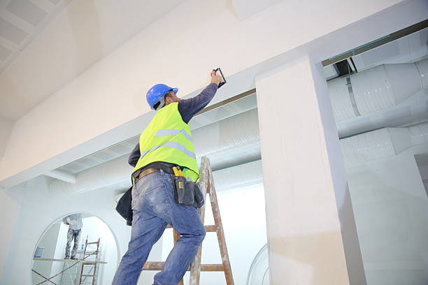 Best Industrial Mold Remediation  in Alma, MI