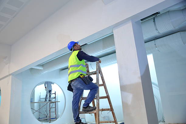 Best Mold Prevention Services  in Alma, MI