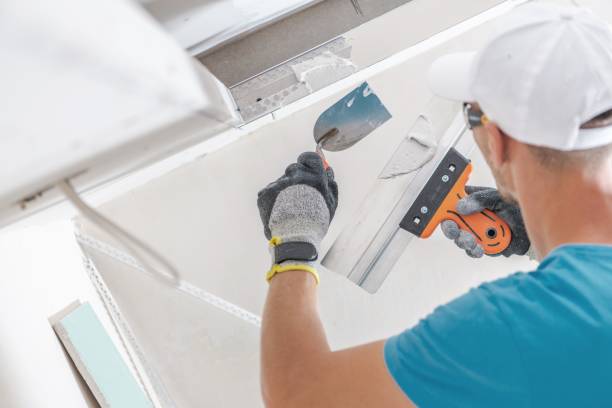 Best Emergency Mold Remediation  in Alma, MI